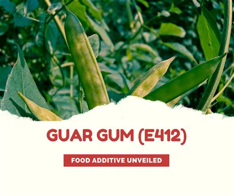  Guar Gum 食品用増粘剤としての活用と持続可能な生産への挑戦！